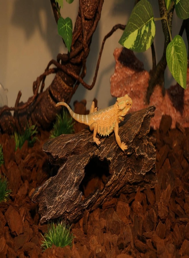 AQUA KT Reptile Hideout Tree Trunk Hollow Log Cork Bark for Lizard Bearded Dragon Snake Chameleon Hermit Crab Leopard Gecko Terrarium Habitat Decoration - Image 3
